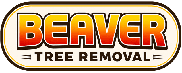 Beaver Tree Removal