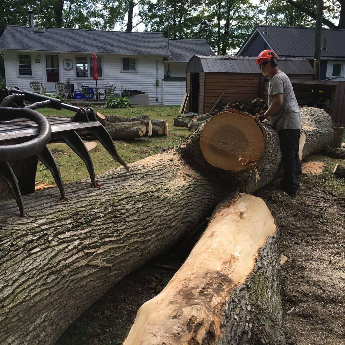 Crew member beside a massive felled log near the water