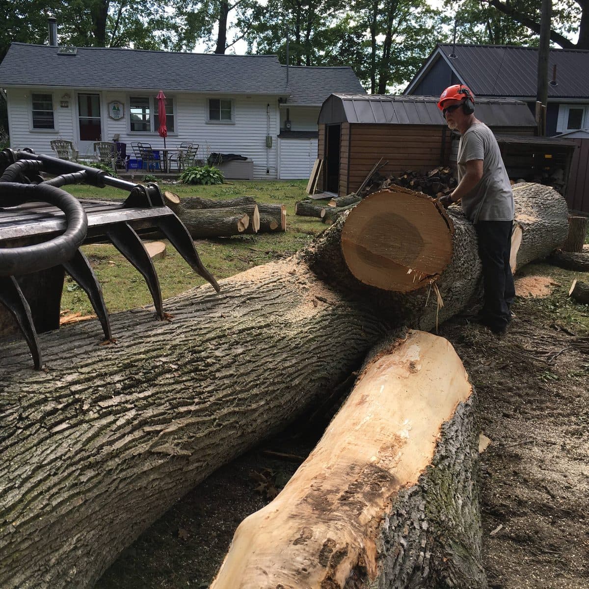 Crew member beside a massive felled log near the water