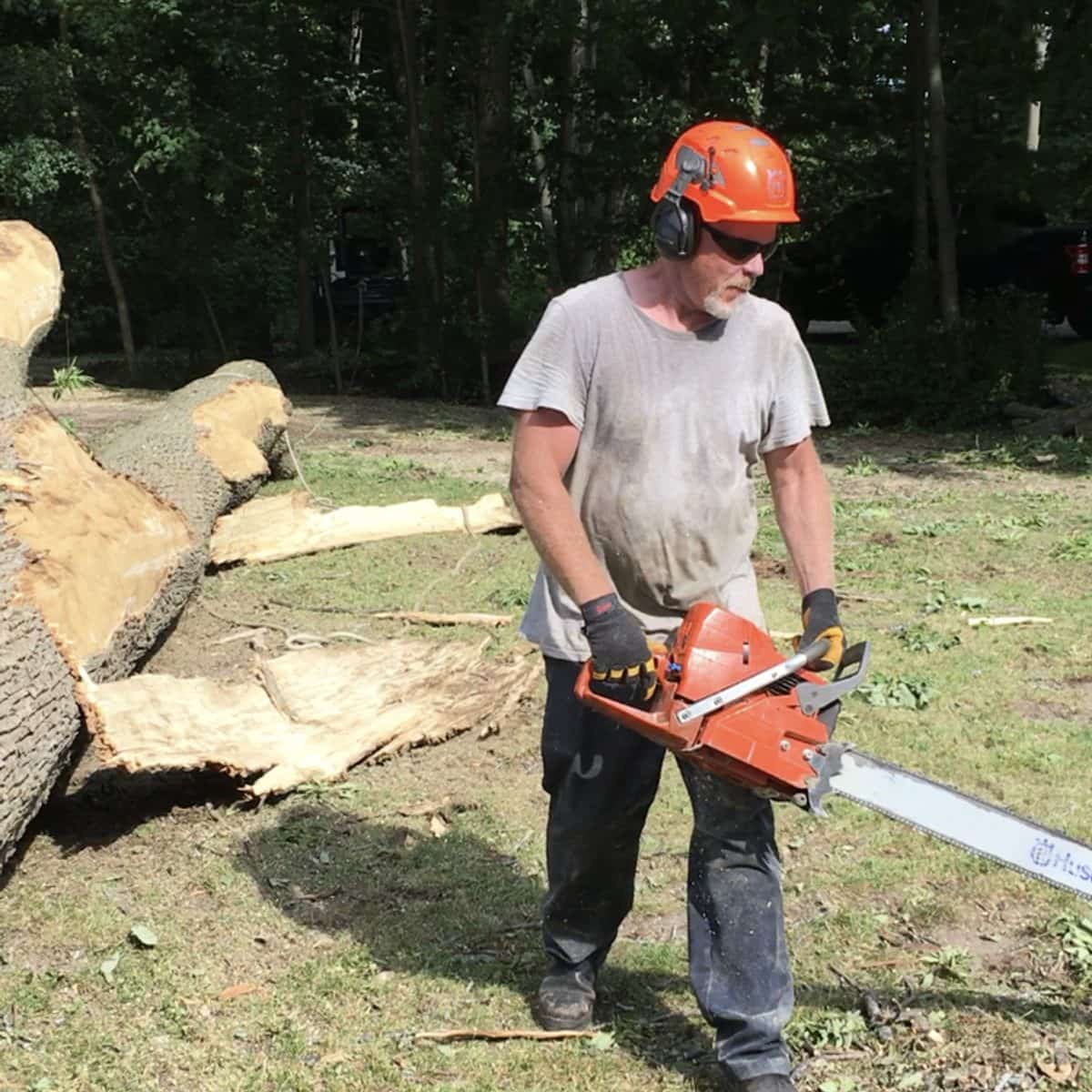 Crew member carrying a Husqvarna chainsaw on a job