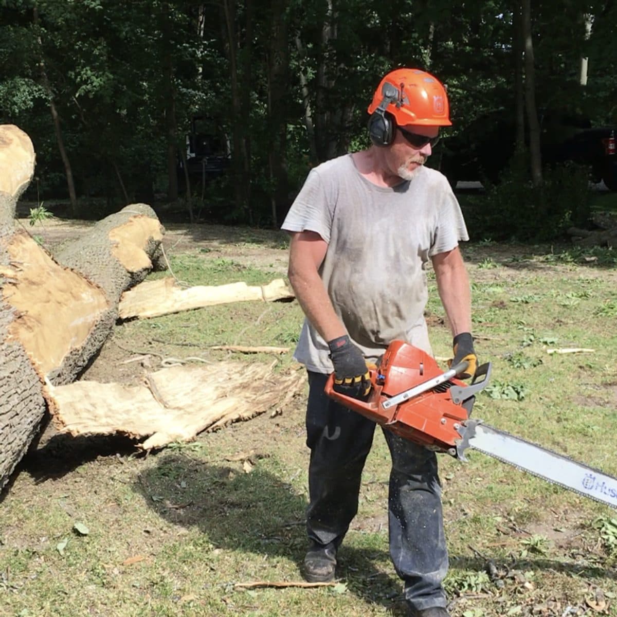 Crew member carrying a Husqvarna chainsaw on a job