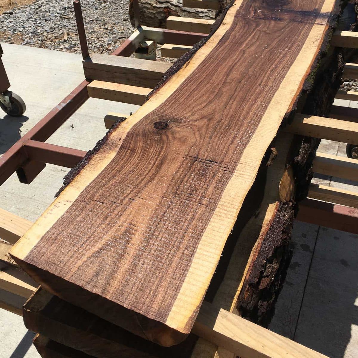 Finished live-edge walnut slab from custom milling