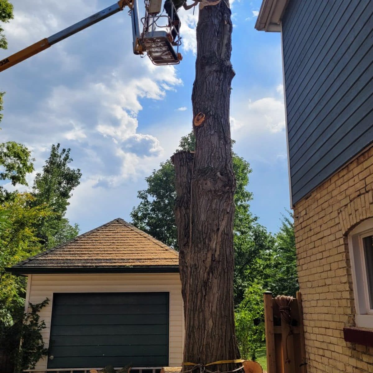 Bucket truck removing a tall spar between two houses