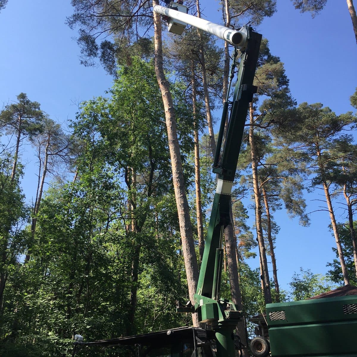 Climber removing a tall spar beside a blue house