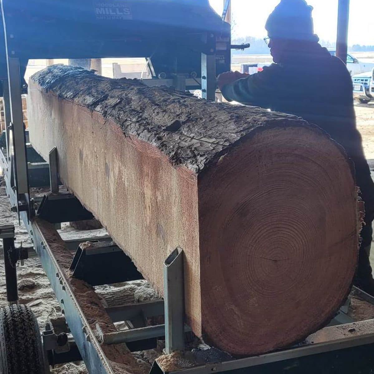 Milling a large hardwood log into lumber on the sawmill