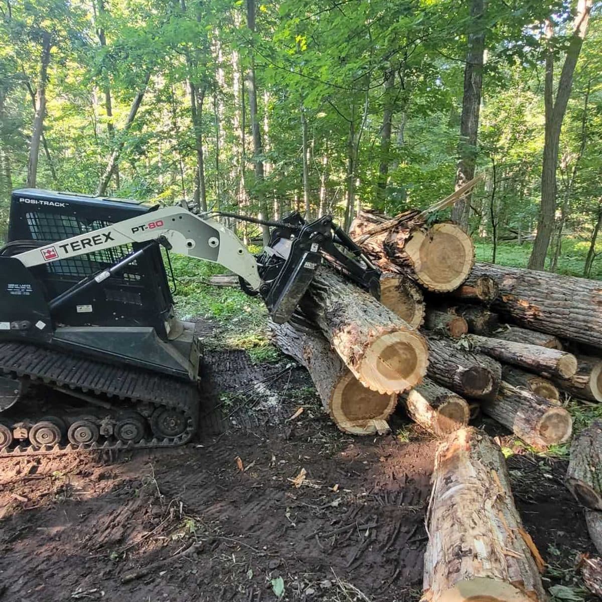 Terex tracked loader moving cut logs with a grapple in the bush