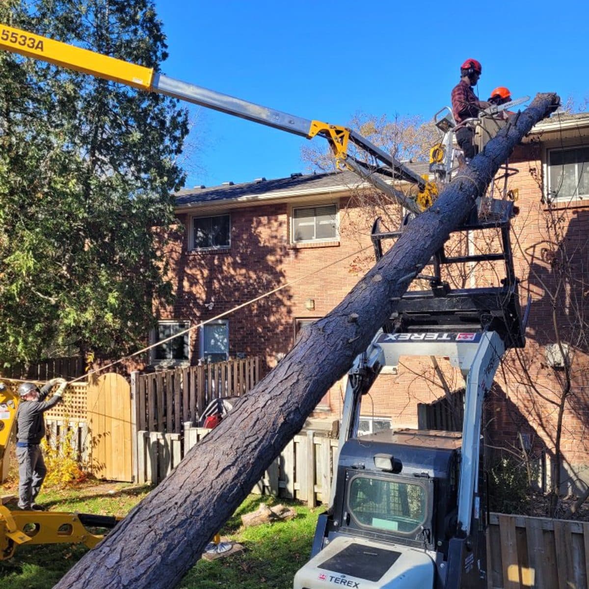 Tracked crane lifting a large tree section over a house in St. Marys