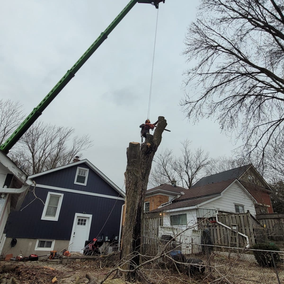 Mobile crane lifting a heavy log section over a residential property