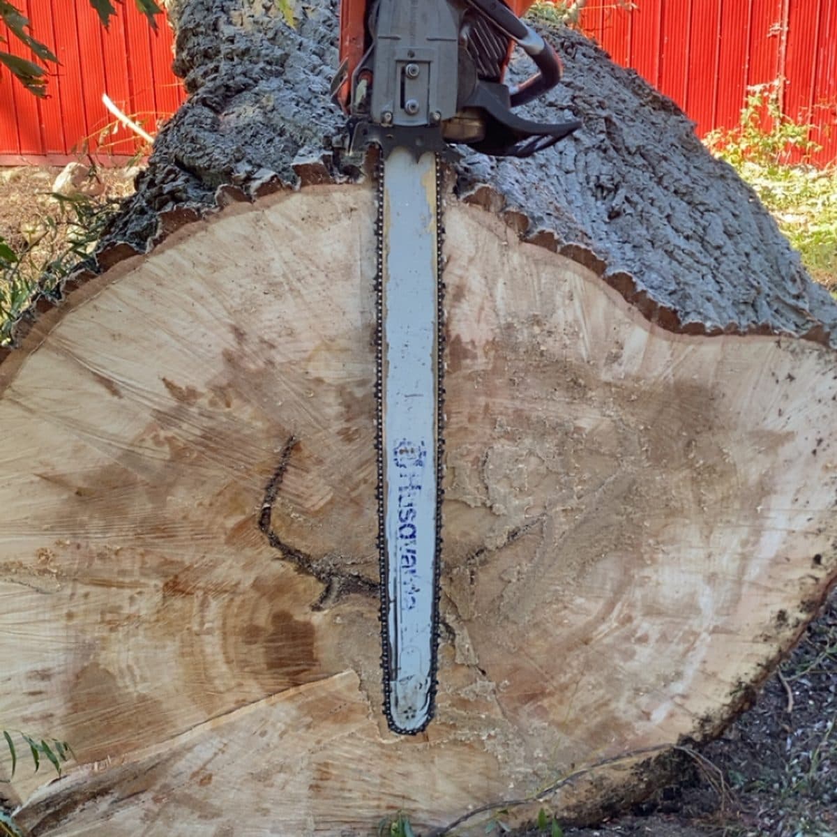 Husqvarna chainsaw resting on a large freshly cut log round