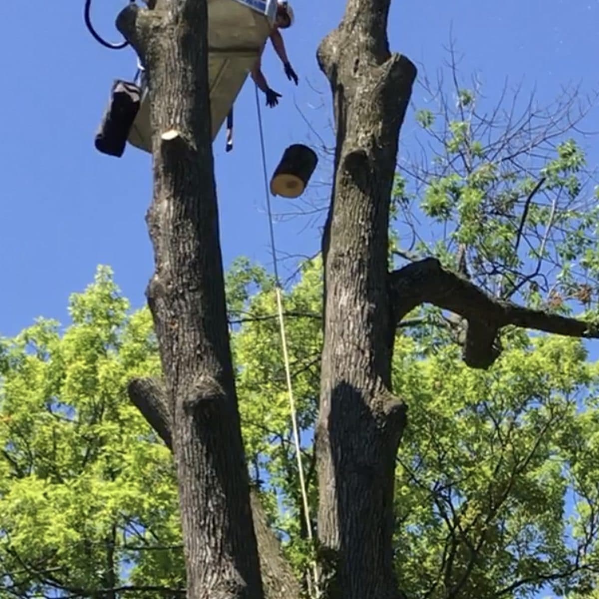 Bucket lift reaching between two tall bare spars