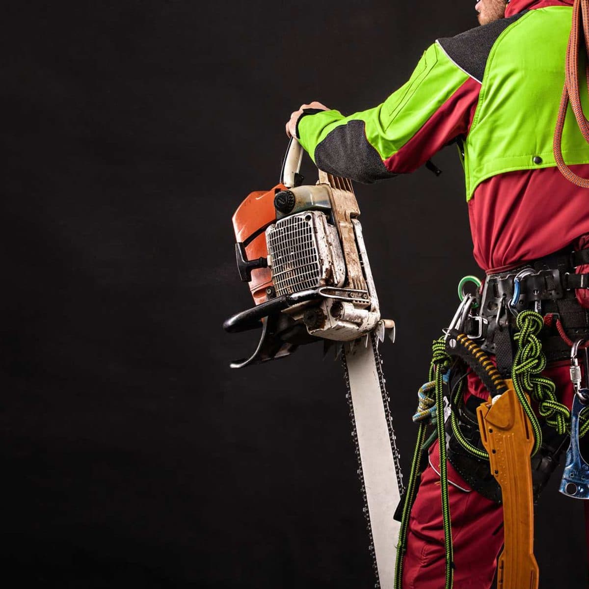 Arborist geared up with climbing rope and chainsaws